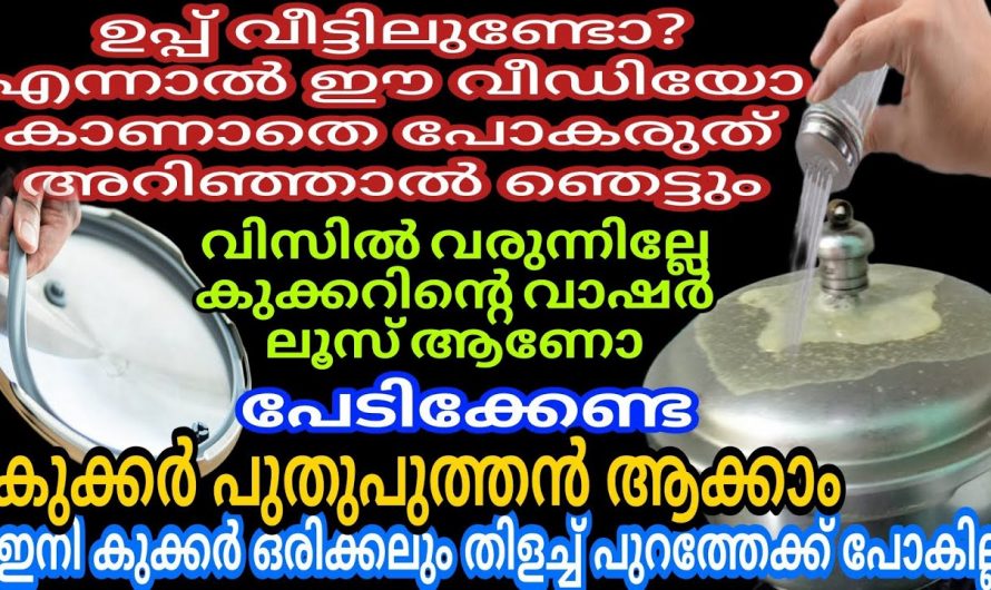 നമ്മുടെ വീട്ടിലെ ഉപ്പ് ഉപയോഗിച്ച് ഇങ്ങനെയൊന്ന് ചെയ്തു നോക്കൂ ഞെട്ടിക്കും ഗുണങ്ങൾ…