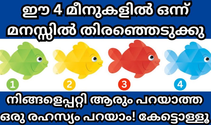 ഈ ചിത്രത്തിൽ ഒന്ന് തെരഞ്ഞെടുപ്പ് നിങ്ങളുടെ പേഴ്സണാലിറ്റിയെ കുറിച്ച് മനസ്സിലാക്കാം…