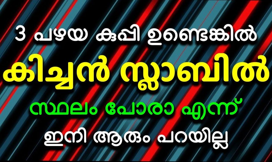 അടുക്കള വളരെ അടുക്കും ചിട്ടയോടെ സൂക്ഷിക്കാം ഇങ്ങനെ ചെയ്താൽ.