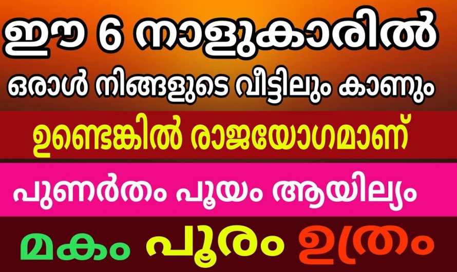 ഈ നക്ഷത്രങ്ങളിൽ ഏതെങ്കിലും നക്ഷത്രം നിങ്ങളുടെ വീട്ടിലുണ്ടെങ്കിൽ കുടുംബം രക്ഷപ്പെടും…