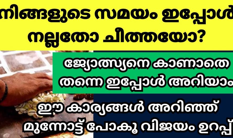 ഓരോ നക്ഷത്രക്കാരുടെയും ഈ വർഷത്തെ സമയത്തെക്കുറിച്ച് മനസ്സിലാക്കാൻ…