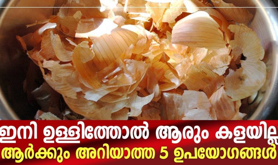 വീട്ടിൽ സവാള, ഉള്ളി എന്നിവയുടെ തോൽ  ഉണ്ടോ, എങ്കിൽ ഇതൊന്നു ചെയ്തു നോക്കൂ ഞെട്ടിക്കും ഗുണങ്ങൾ…