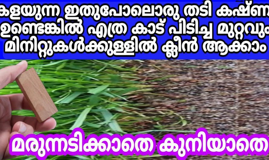 പുല്ല് ഇല്ലാതാക്കുവാൻ ഈ വടി ഒന്ന് ഉപയോഗിച്ചാൽ മാത്രം മതി.