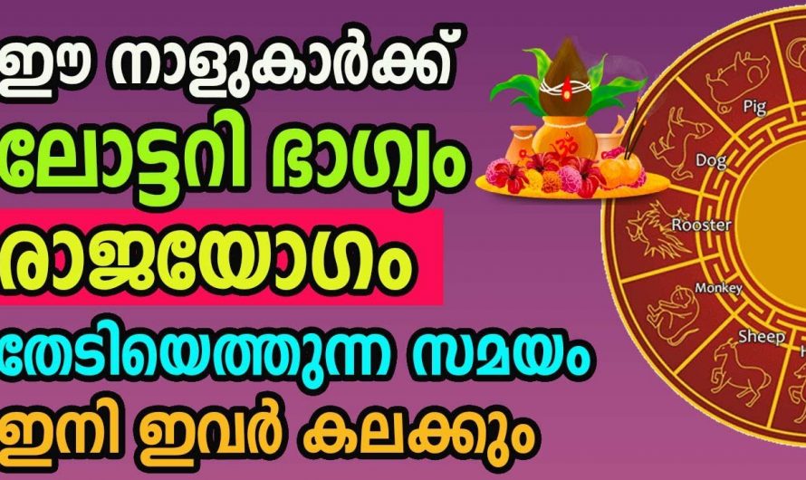 ഇവരുടെ ജീവിതത്തിൽ രാജിയോഗം ഓടിയെത്തുന്നു.