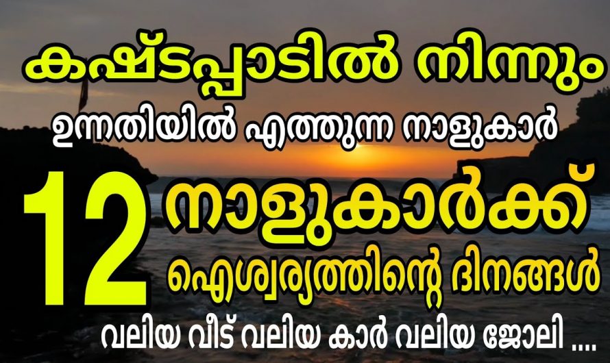 ഈ നക്ഷത്രക്കാർ  ഇനി ജീവിതത്തിൽ വിജയിക്കും…