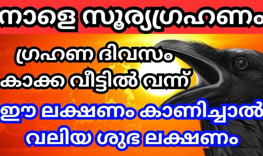 സൂര്യഗ്രഹണദിവസം കാക്ക വീട്ടിൽ വന്നാൽ ഇത്തരം കാര്യങ്ങളും നടന്നിരിക്കും…