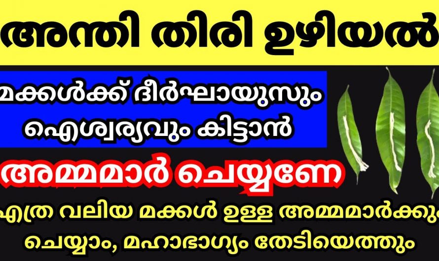 മക്കൾക്ക് വേണ്ടി ഇക്കാര്യം അമ്മമാർ ചെയ്തു നോക്കൂ മക്കളുടെ ജീവിതം ഉയരത്തിൽ എത്തും…