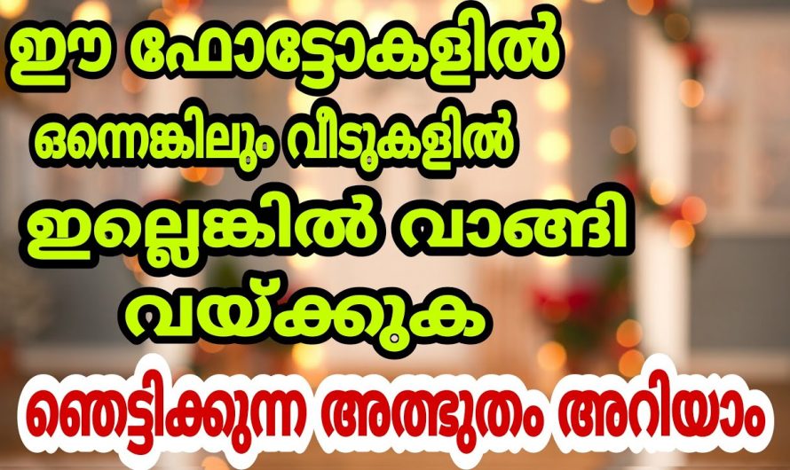 നമ്മുടെ വീടുകളിൽ ഇത്തരത്തിൽ ചിത്രങ്ങൾ ഉണ്ടാകുന്നത് ഐശ്വര്യ വന്നു നിറയുന്നതിന് കാരണമാകും…