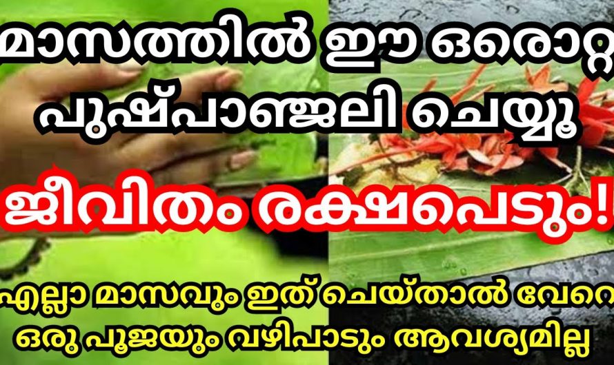 മാസത്തിൽ ഈ ഒരു വഴിപാട് ചെയ്താൽ ജീവിതത്തിൽ വിജയം ഉണ്ടാകും….