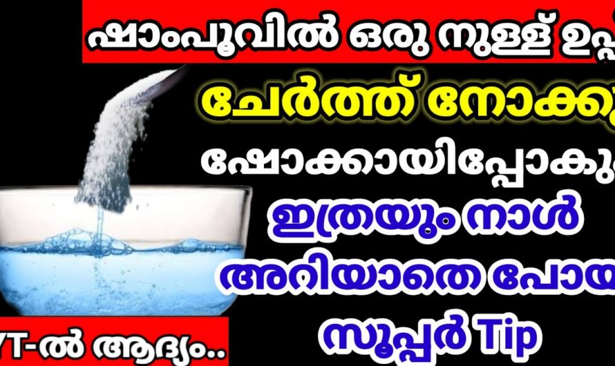 വളരെ എളുപ്പത്തിൽ വീട്ടിലെയും പറമ്പിലെയും ഉറുമ്പ് ശല്യം പരിഹരിക്കാൻ…