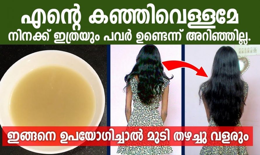 കഞ്ഞിവെള്ളം ഉപയോഗിച്ചുകൊണ്ട് മുടിയെ പരിപാലിക്കാം.