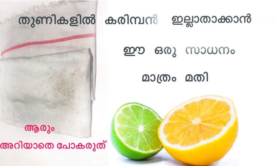 വെള്ള വസ്ത്രത്തിൽ ഇനി ഒരിക്കലും കരിമ്പൻ പുള്ളികൾ പിടിക്കുകയില്ല ഇങ്ങനെ ചെയ്താൽ.