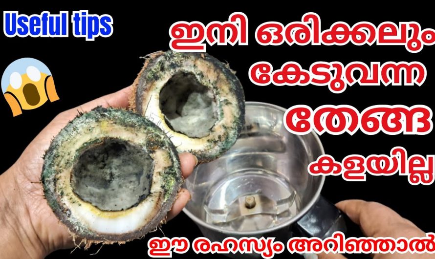 വെളിച്ചെണ്ണ ഉണ്ടാക്കുവാൻ ഇനി തേങ്ങ കേടായാലും പറ്റും.