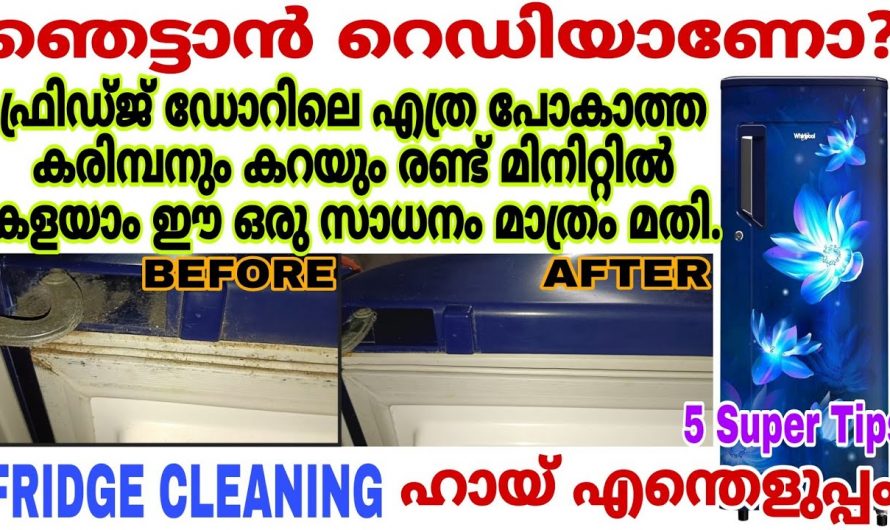 ഫ്രിഡ്ജ് അടുക്കളയും എപ്പോഴും പുത്തൻ പുതിയത് പോലെ സംരക്ഷിക്കാൻ..