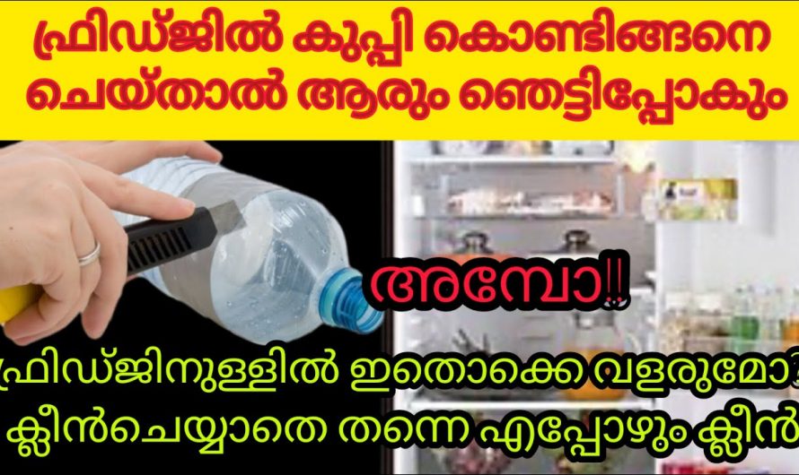 ഫ്രിഡ്ജ് അടുക്കളയും നല്ല രീതിയിൽ സംരക്ഷിക്കേണ്ട കിടിലം വഴി..