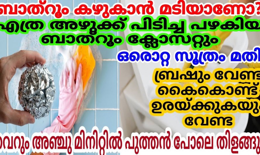 ബാത്റൂം ക്ലീനിങ് ഇനി വളരെ എളുപ്പം എങ്ങനെ എന്നല്ലേ.