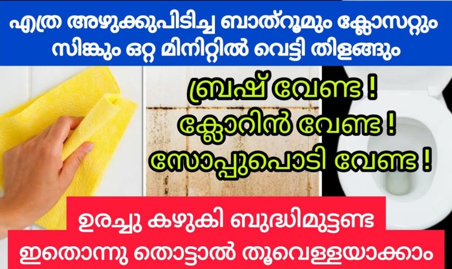 ബാത്റൂം ക്ലീൻ ചെയ്യുവാൻ ഇനി എന്തെളുപ്പം ഇങ്ങനെ ചെയ്താൽ.