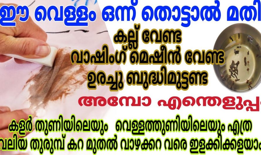 പാറ്റ ഉറുമ്പ് എന്നിവ നമ്മുടെ വീട്ടിൽ ഇനി വരികയില്ല ഇത് ഉപയോഗിച്ചാൽ.