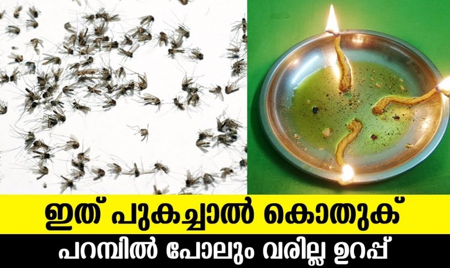 ഈ വിളക്ക് ഒന്ന്  കത്തിക്കൂ കൊതുകിനെ തുരത്താം ..