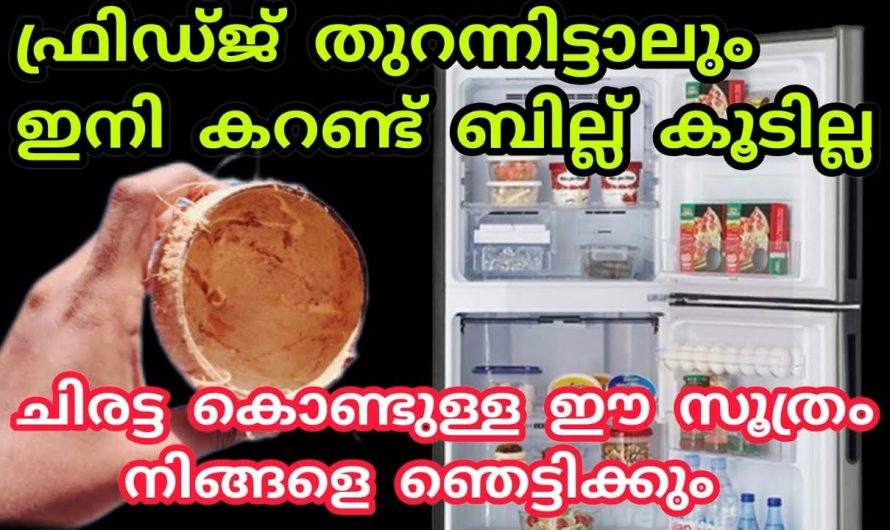 ഫ്രിഡ്ജ് ഉപയോഗിക്കുമ്പോൾ നിങ്ങൾ ഇത്തരം കാര്യങ്ങൾ അറിഞ്ഞിരിക്കണം.