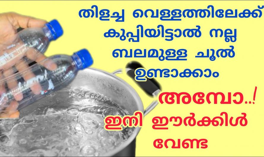 പഴയ ബോട്ടിൽ ഉപയോഗിച്ചുകൊണ്ട് നമുക്ക് ഉറപ്പുള്ള ചൂല് ഉണ്ടാക്കാം.