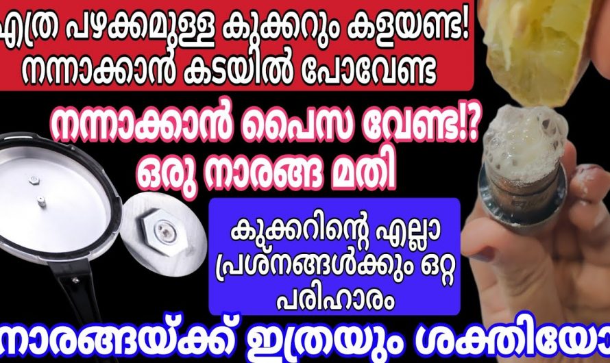 വീട്ടിൽ കുക്കർ ഉപയോഗിക്കുമ്പോൾ ശ്രദ്ധിക്കേണ്ട ചില കാര്യങ്ങൾ….