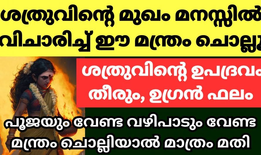 ഈ മന്ത്രം നിങ്ങളുടെ ശത്രുദോഷത്തിൽ നിന്ന് രക്ഷിക്കും.