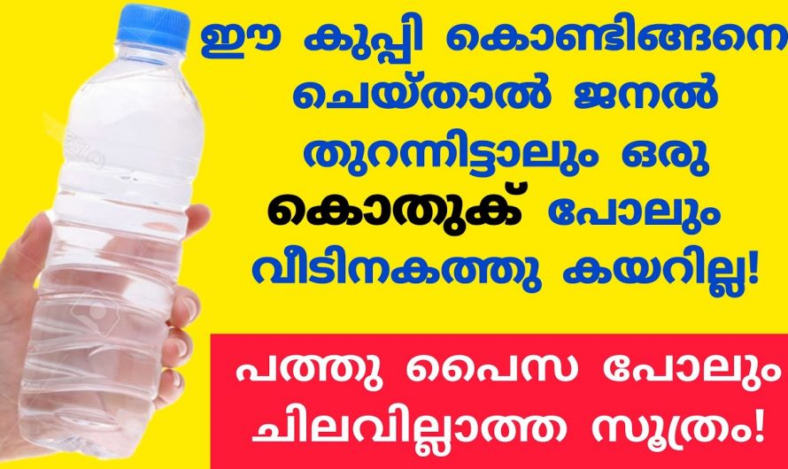 കൊതുക് ശല്യം  എളുപ്പത്തിൽ പരിഹരിക്കാൻ വീട്ടിൽ കുപ്പി ഉണ്ടോ ഇതാ കിടിലൻ മാർഗ്ഗം…