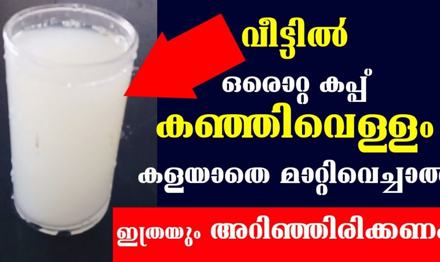 മുഖസൗന്ദര്യം വർദ്ധിപ്പിക്കുവാൻ കഞ്ഞിവെള്ളം എങ്ങനെ ഉപയോഗിക്കാം.
