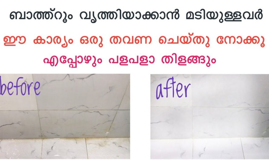 ബാത്റൂം ക്ലീൻ ചെയ്യുവാൻ ഇതിലും നല്ല മാർഗ്ഗം വേറെയില്ല.