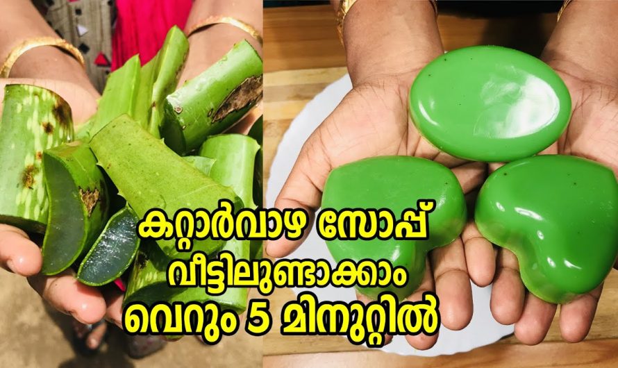 വീട്ടിൽ കറ്റാർവാഴ ഉണ്ടോ എങ്കിൽ ഇതൊന്നു ചെയ്തു നോക്കൂ…