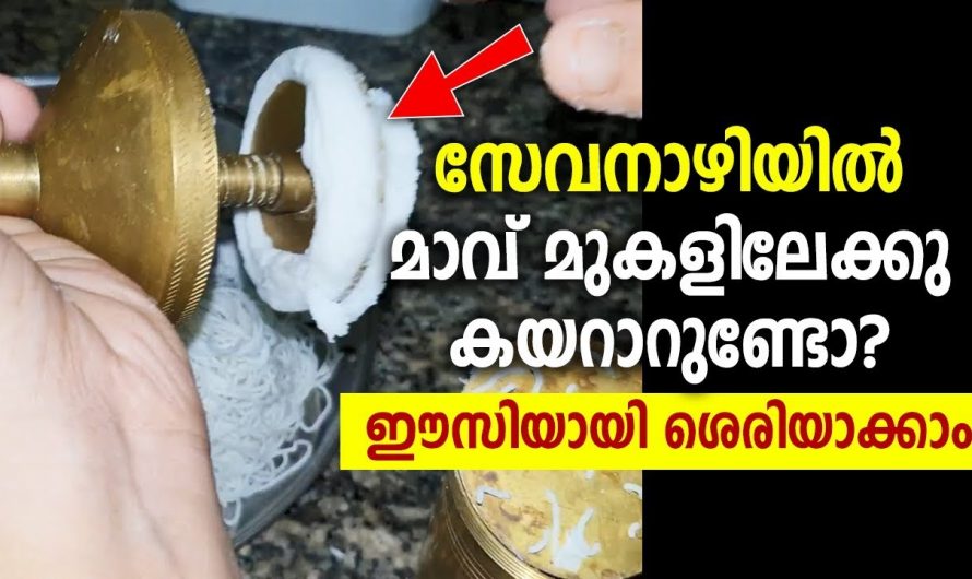 ഇങ്ങനെയാണ് ഇടിയപ്പം ഉണ്ടാക്കുന്നതെങ്കിൽ എളുപ്പത്തിൽ തയ്യാറാക്കാം…
