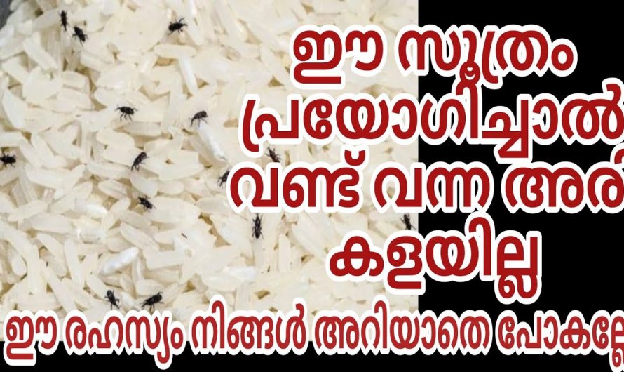 അടുക്കളയിലെ ഇത്തരം ടിപ്സുകൾ ഉപയോഗിച്ച് നോക്കൂ ഞെട്ടിക്കും ഗുണങ്ങൾ…