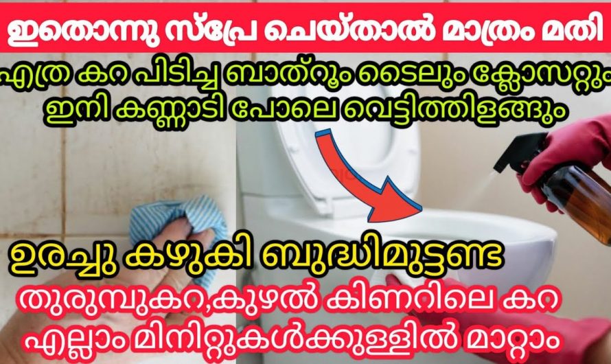 നമ്മുടെ ബാത്റൂം എപ്പോഴും പുത്തൻ പുതിയത് പോലെ ഇരിക്കാൻ