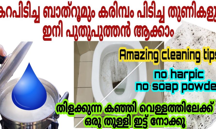 ഇത്തരം കാര്യങ്ങൾ ശ്രദ്ധിച്ചാൽ വളരെ എളുപ്പത്തിൽ ഇത്തരം ജോലികൾ ചെയ്ത് തീർക്കാം…