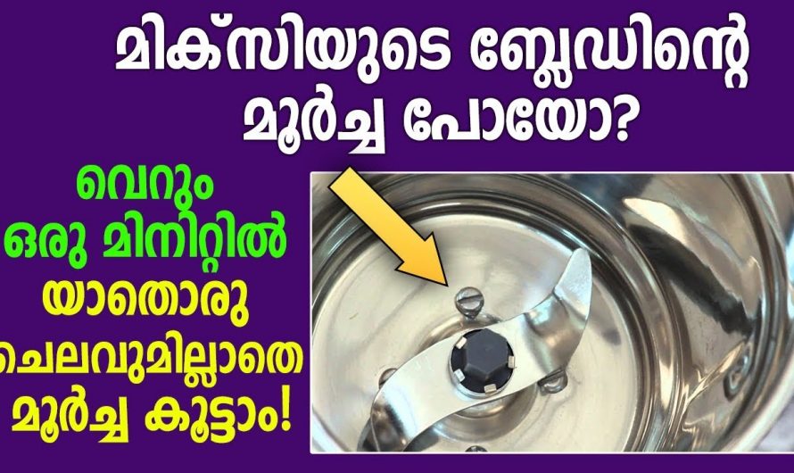 മിക്സിയുടെ ജാറിന്റെ മൂർച്ച ലഭിക്കുവാൻ ആയിട്ട് ഇങ്ങനെയൊന്നു ചെയ്തു നോക്കൂ.