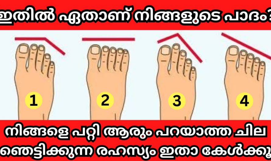 നിങ്ങളുടെ കാൽപാദങ്ങളിലെ വിരലുകളുടെ ഘടന പറയും നിങ്ങളുടെ ജീവിതം…