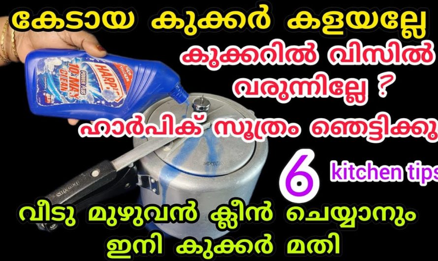 പ്രഷർ കുക്കറുകൾ ഉപയോഗിക്കുമ്പോൾ നമ്മൾ ശ്രദ്ധിക്കേണ്ട കാര്യങ്ങൾ.