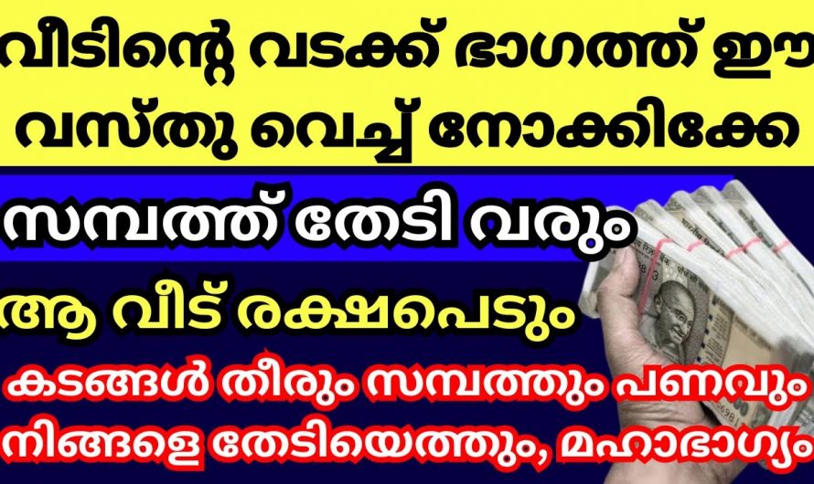 നമ്മുടെ വീടുകളിൽ സാമ്പത്തിക ഉയർച്ച ഉണ്ടാക്കണമെങ്കിൽ ഈ ഒരു കാര്യം ശ്രദ്ധിച്ചാൽ മതി…