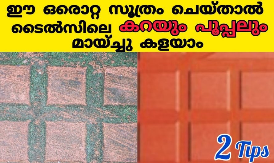 വീട് മുറ്റത്തെ ടൈലും കട്ടകളും വളരെ എളുപ്പത്തിൽ ക്ലീൻ ചെയ്യാൻ ഇതാ കിടിലൻ മാർഗ്ഗം…