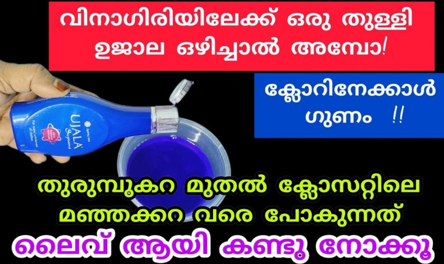 ഈയൊരു ലിക്വിഡ് മാത്രം മതി നമ്മുടെ വീട്ടിലുള്ള ഒട്ടുമിക്ക സാധനങ്ങളും വൃത്തിയാക്കാം.