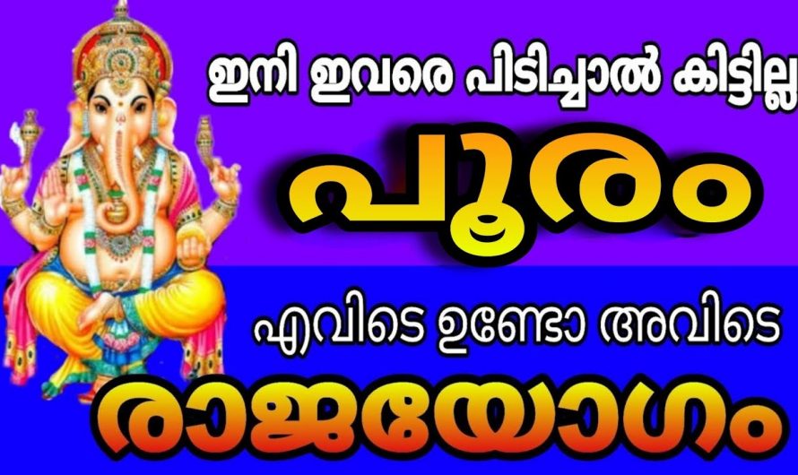 പൂരം നക്ഷത്രക്കാർക്ക് ശ്രദ്ധിക്കേണ്ട കാര്യങ്ങൾ…