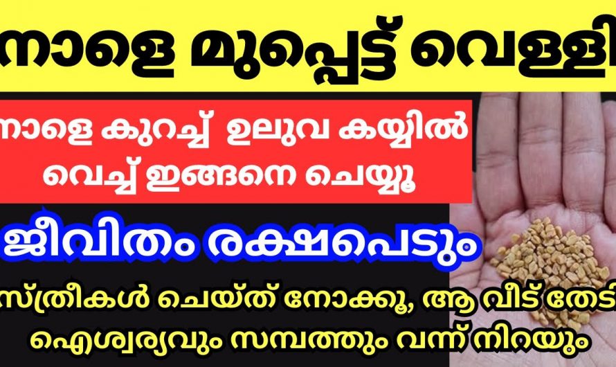 മെയ് മാസം പതിനേഴാം തീയതി ഈ ഒരു കാര്യം ചെയ്താൽ നിങ്ങളുടെ കുടുംബ രക്ഷപ്പെടും ..