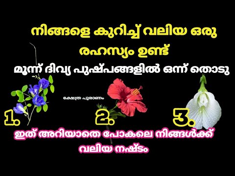 മൂന്ന് പുഷ്പങ്ങളിൽ ഒന്ന് തൊടൂ ഉള്ളിൽ ഒളിഞ്ഞിരിക്കുന്ന രഹസ്യം തിരിച്ചറിയാം.
