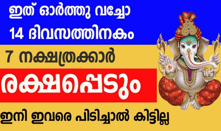 ഭാഗ്യത്താൽ ജീവിതത്തിൽ രക്ഷ പ്രാപിക്കുന്ന നക്ഷത്രക്കാർ..