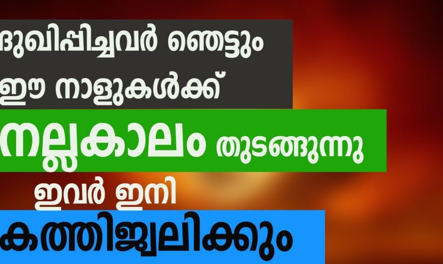 ആരെയും ഞെട്ടിക്കുന്ന രീതിയിൽ സൗഭാഗ്യങ്ങൾ സ്വന്തമാക്കുന്ന നക്ഷത്രക്കാർ..