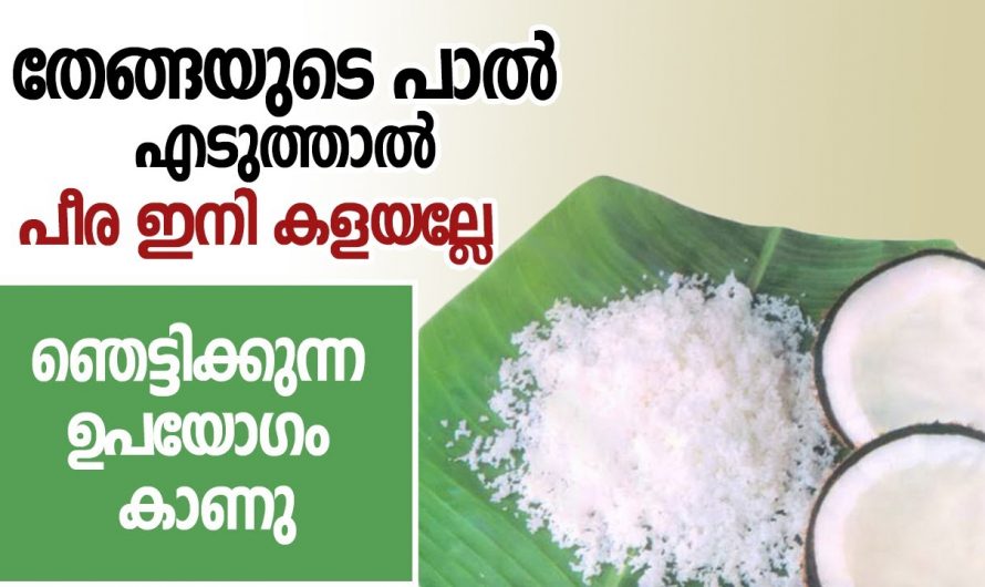 വെറുതെ കളയുന്ന തേങ്ങ പീരയുടെ ഞെട്ടിക്കുന്ന ഗുണങ്ങൾ ആരും കാണാതിരിക്കല്ലേ.