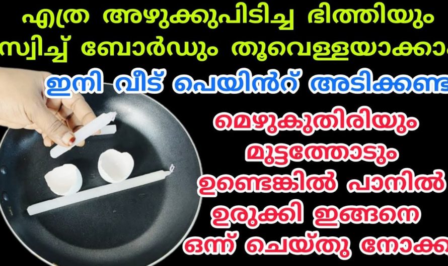 വീട്ടിലെ സ്വിച്ച് ബോർഡ് ഇനി എന്നും വൃത്തിയായി ഇരിക്കും ഇങ്ങനെ ചെയ്താൽ.