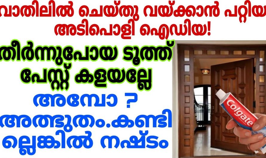 വീട്ടിൽ ടൂത്ത് പേസ്റ്റ് കവർ ഉണ്ടെങ്കിൽ ഞെട്ടിക്കും റിസൾട്ട്.