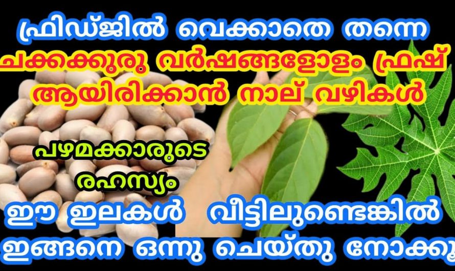 ഇതൊന്നു ചെയ്തു നോക്കൂ ഞെട്ടിക്കും റിസൾട്ട്….